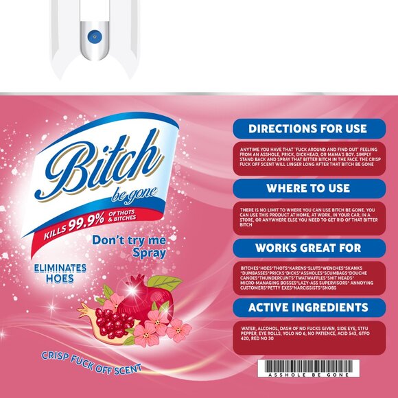 B*tch Be Gone Tumbler, Adult Humor Tumbler, Stainless Steel Tumbler - Picture 2 of 7